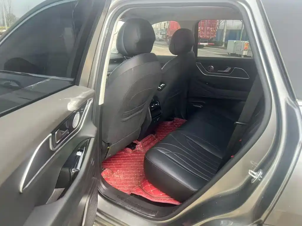 Fengyun T9 120 Long Range Luxury 5-seat Ternary Lithium