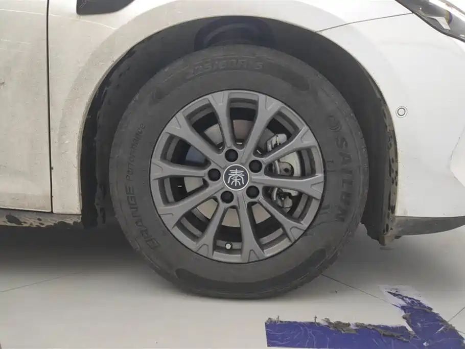 Qin L DM-i Smart Drive 80 KM Leading