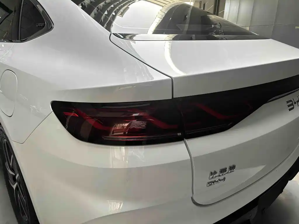Qin L DM-i 120 KM Transcend