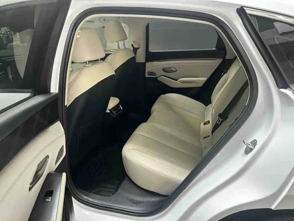 Qin L DM-i 120 KM Transcend