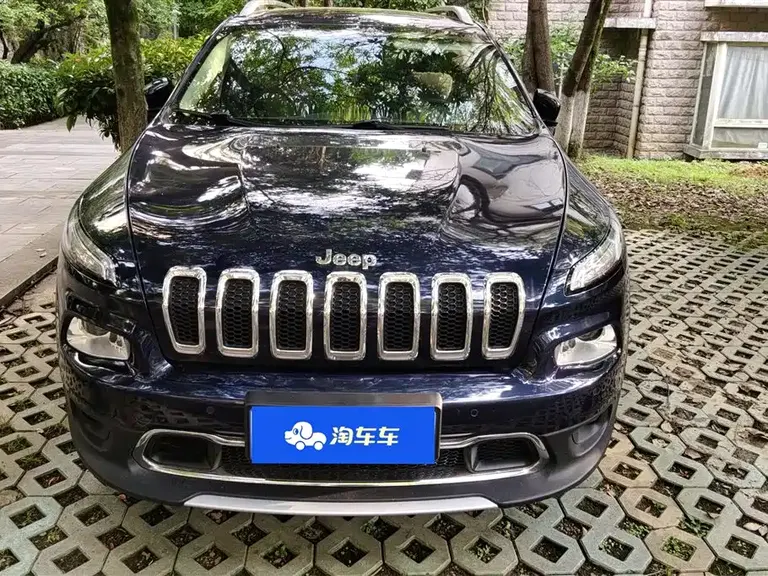 Jeep Cherokee 2.4 L Professional Intelligent