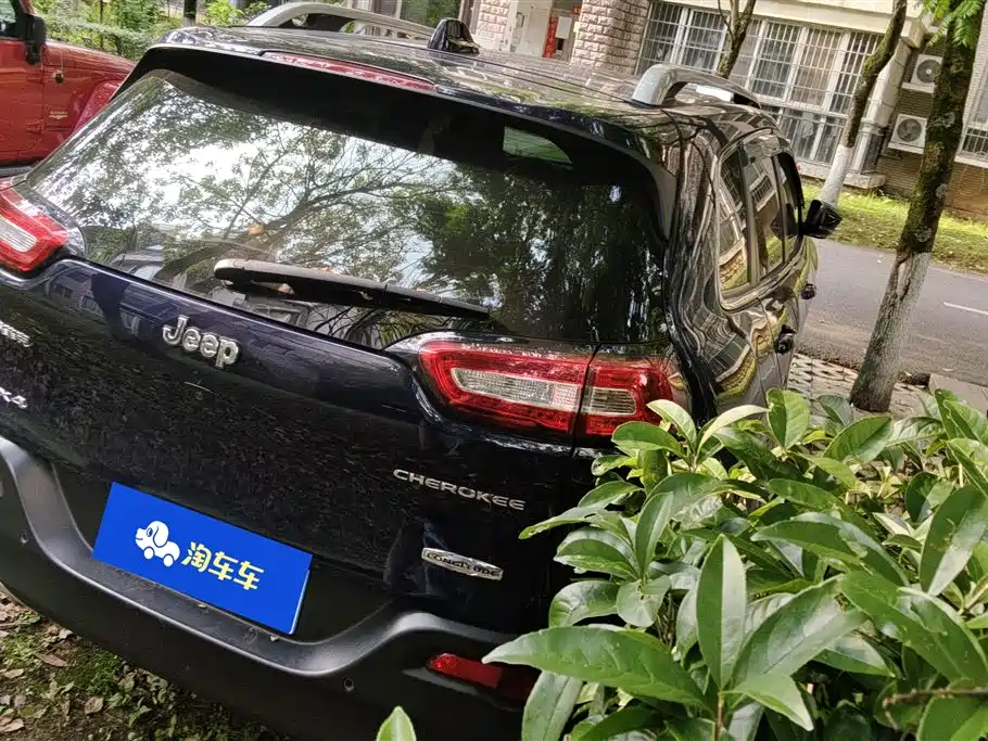 Cherokee 2.4 L Professional Intelligent