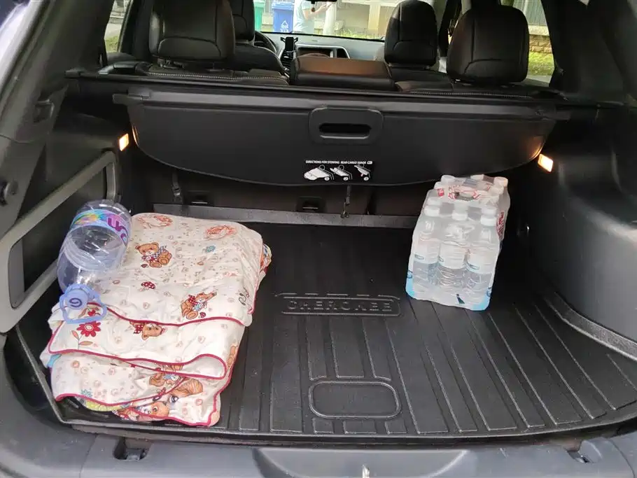 Cherokee 2.4 L Professional Intelligent