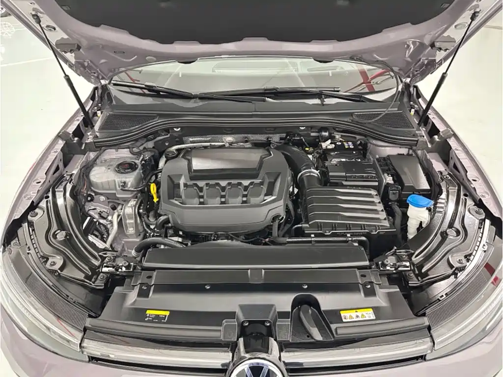 Passat Pro 380 TSI Starry Sky Dragon Supreme