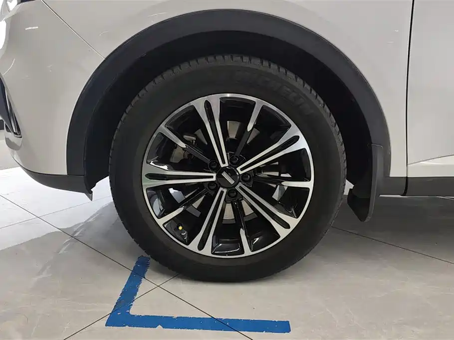 WEY VV6 2.0 T 2 WD Smart Guard +
