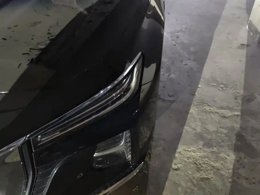 Hongqi H5 2.0 T Auto Connected Flagship Leading