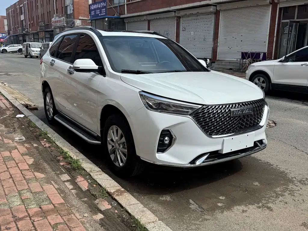 Haval M6 PLUS 1.5 T DCT Luxury Connected