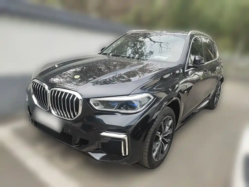 BMW X5 xDrive 30 Li Premium M Sport Package