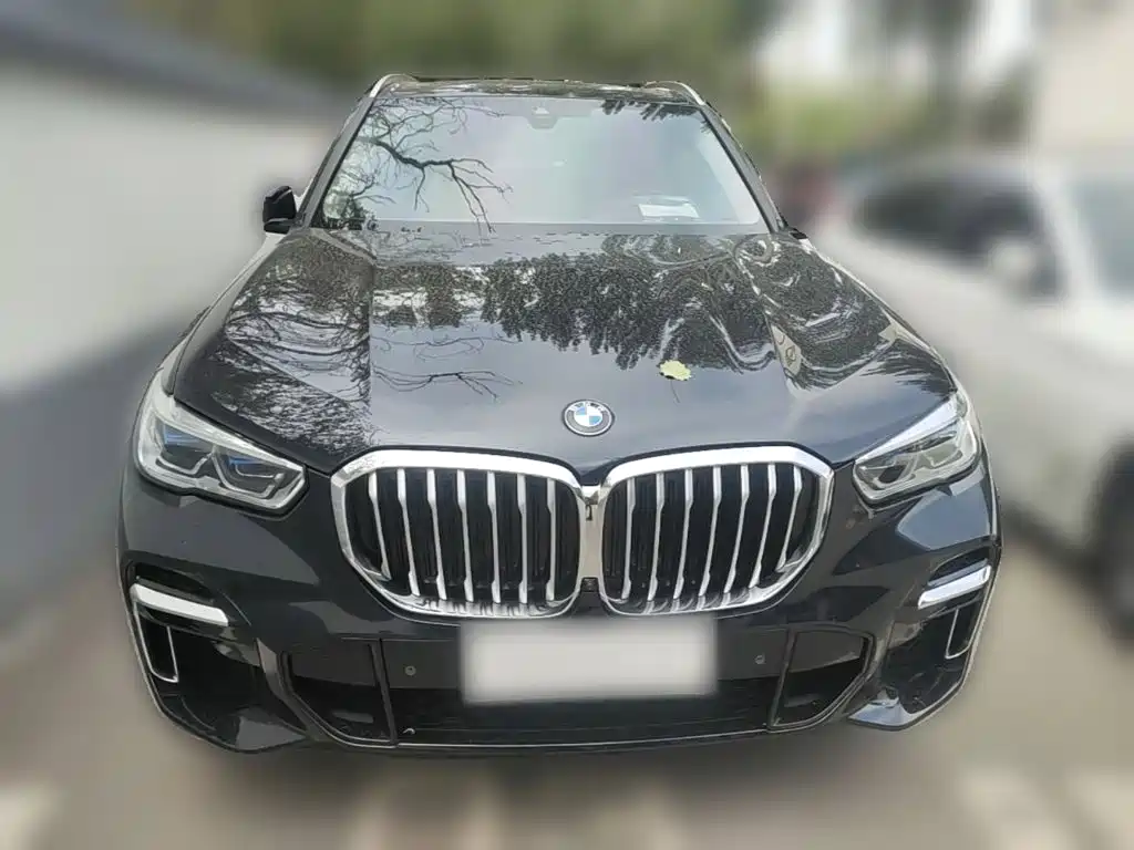 BMW X5 xDrive 30 Li Premium M Sport Package