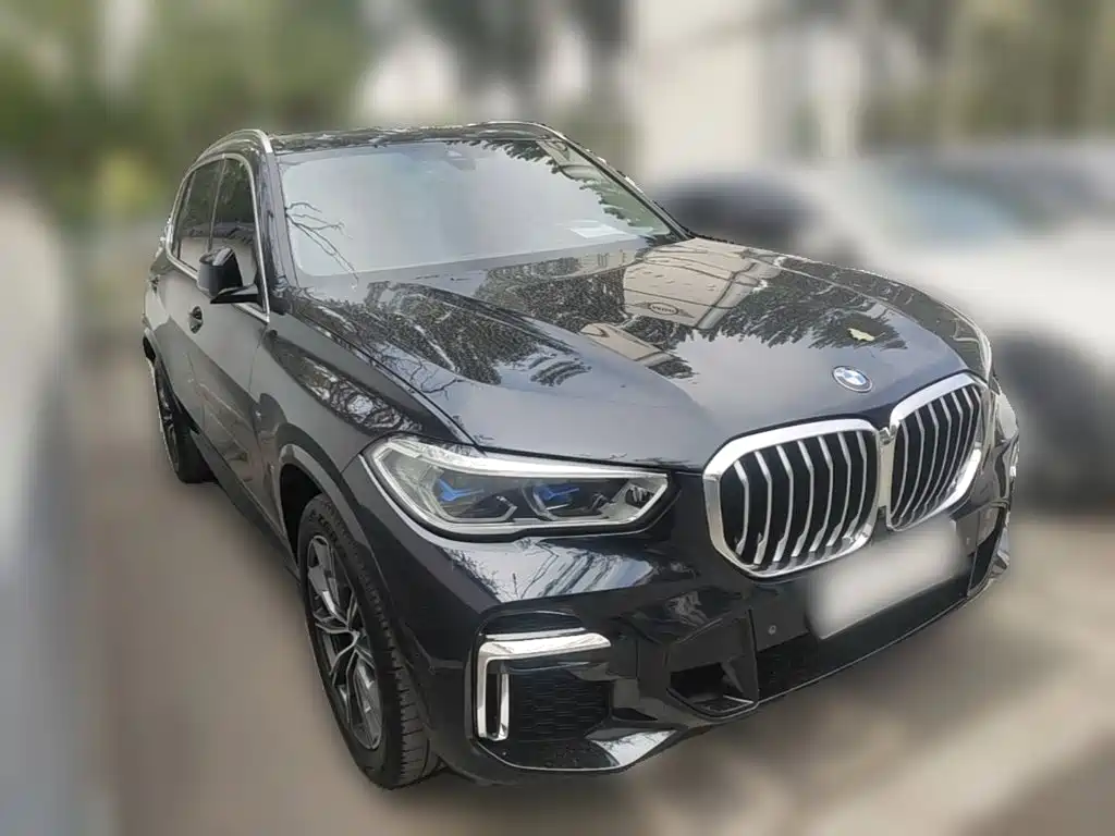 BMW X5 xDrive 30 Li Premium M Sport Package
