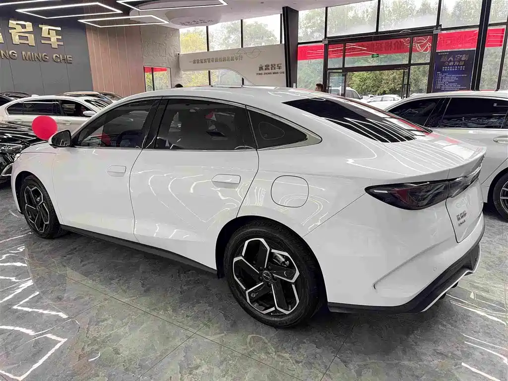 Seal 06 DM-i 120 KM Flagship