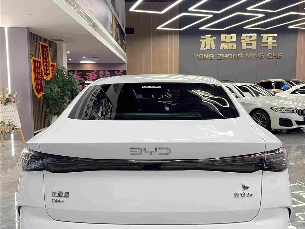 Seal 06 DM-i 120 KM Flagship