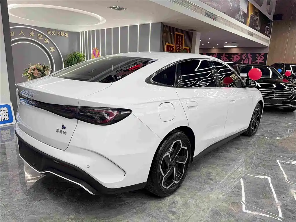 Seal 06 DM-i 120 KM Flagship