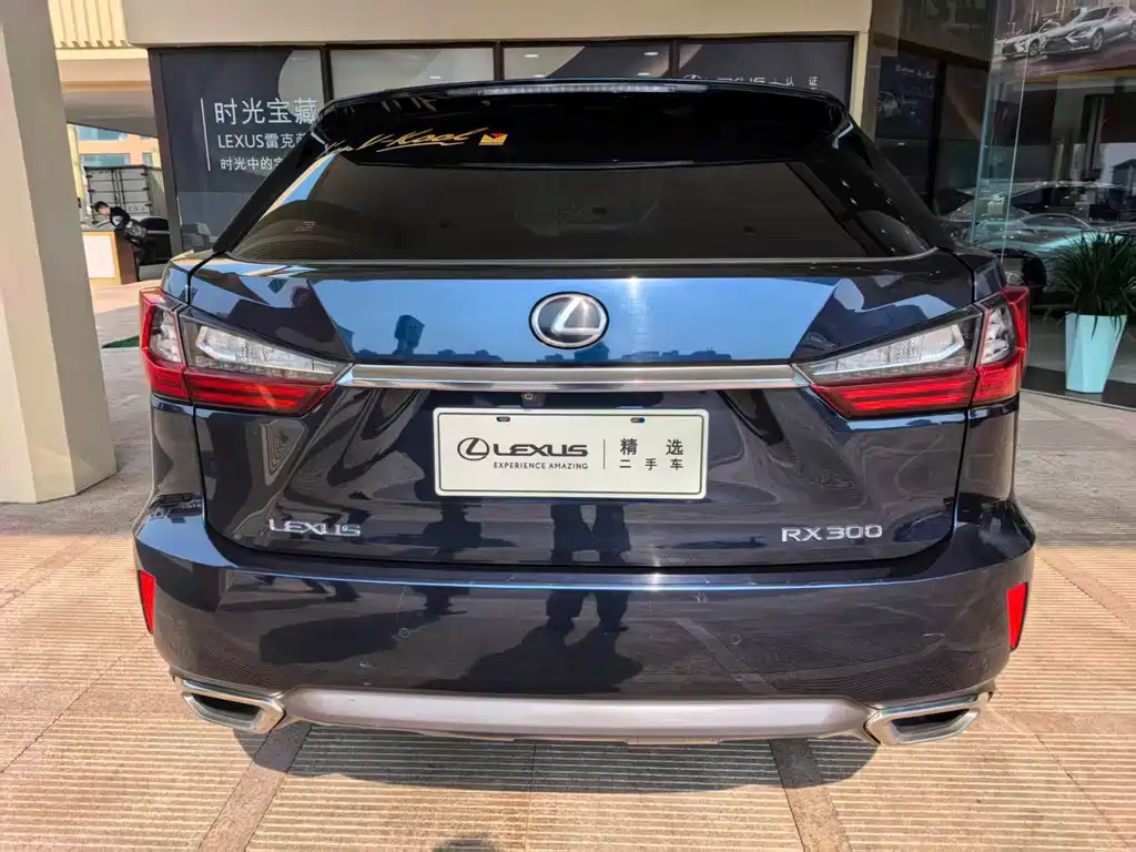 Lexus RX 300 4 WD Elegant CN-V