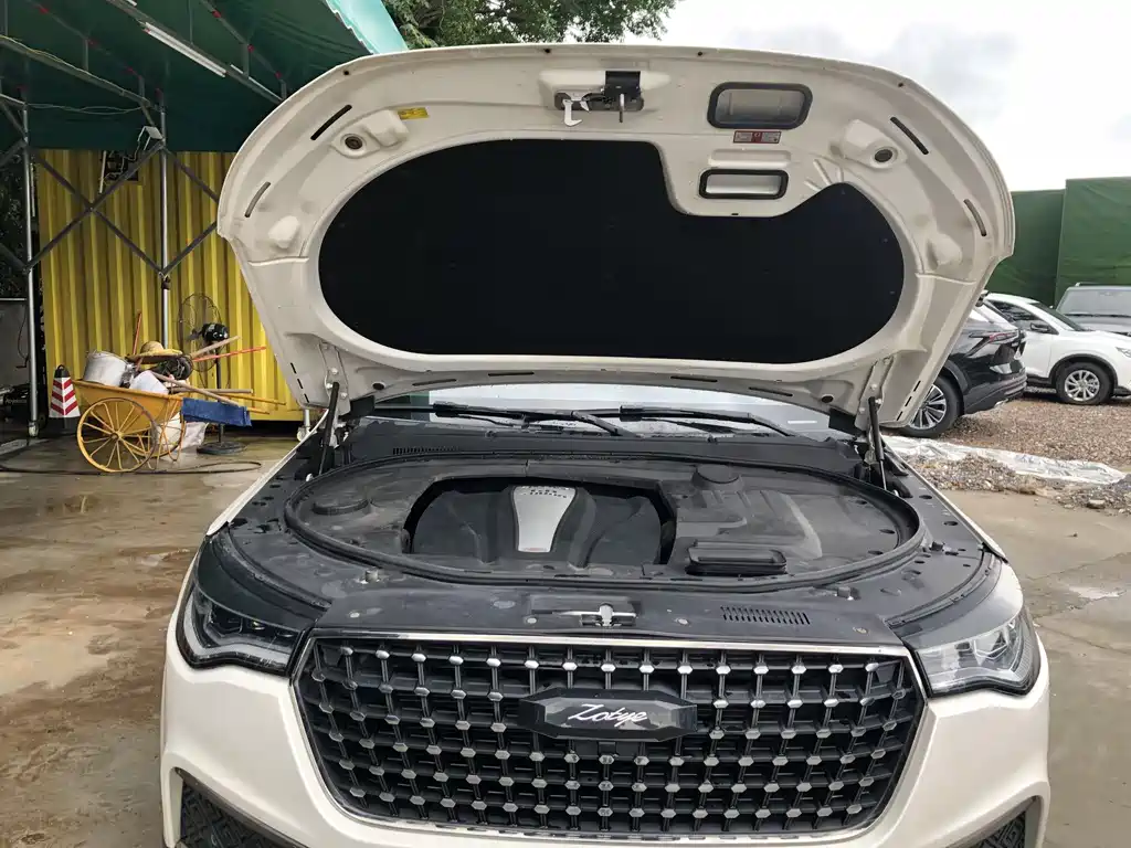 Zotye T700 1.8 T DCT Premium