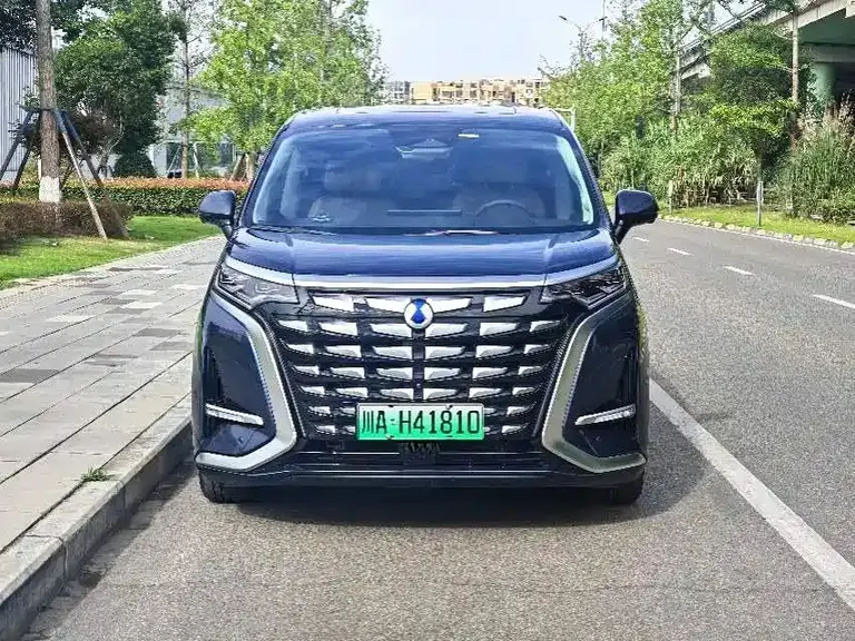 Denza D9 DM-i 980 4 WD Flagship