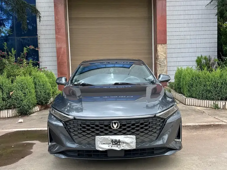 Changan Ruicheng PLUS 1.5 T DCT Distinguished