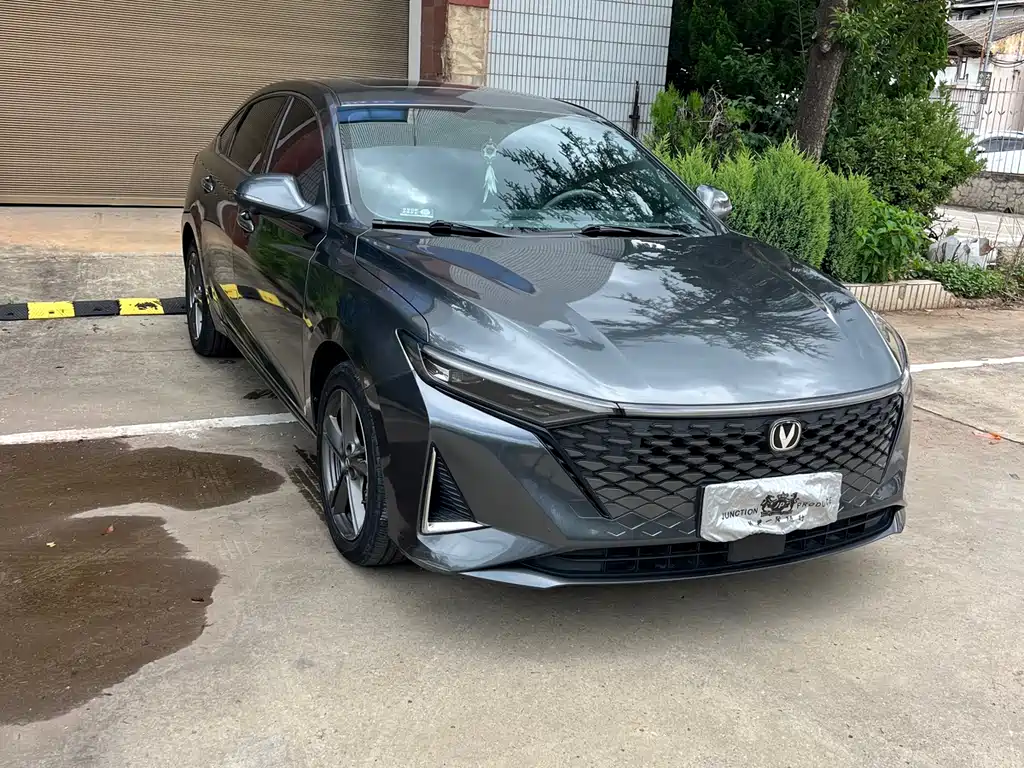 Ruicheng PLUS 1.5 T DCT Distinguished