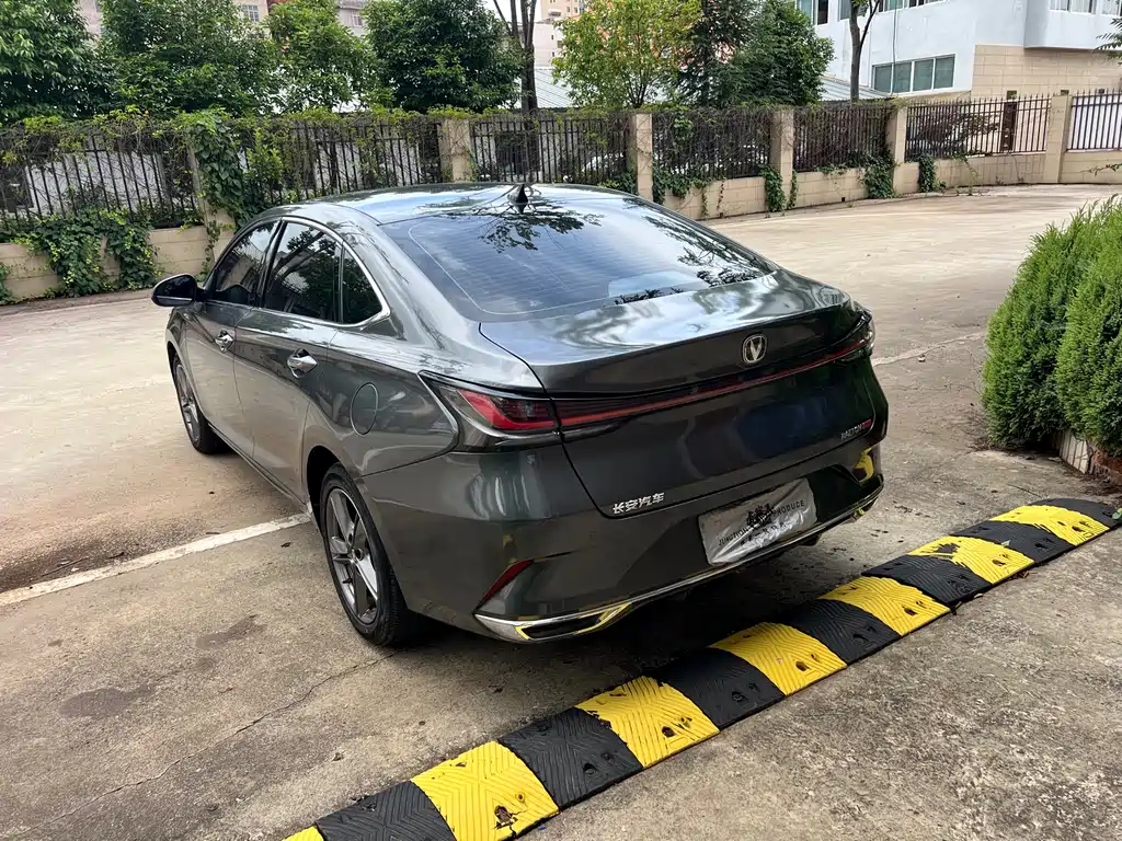 Ruicheng PLUS 1.5 T DCT Distinguished