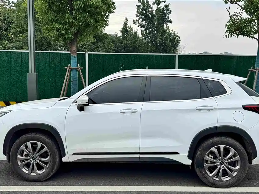 Exeed Zhuifeng Ride the Wave 1.5 T CVT Good Fortune Peanut