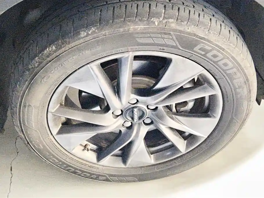 Haval H6 NEV DHT-PHEV 110 KM Joy Travel
