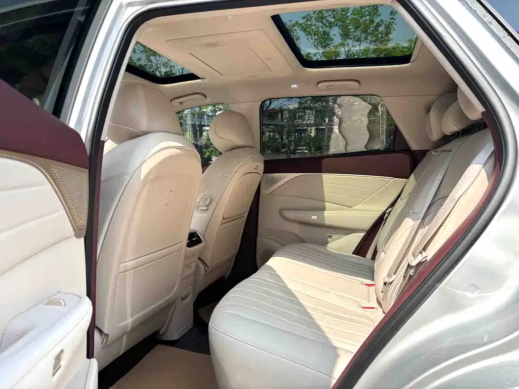 Dongfeng Fengshen L8 185 KM Dream