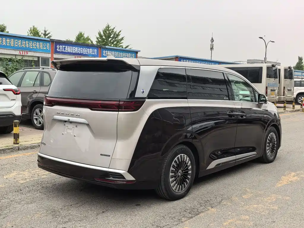 Denza D9 PIONEER 4-seat Pioneer Leading