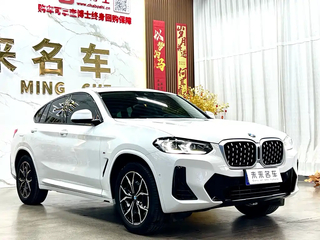 BMW X4 xDrive 25 i M Sport Package
