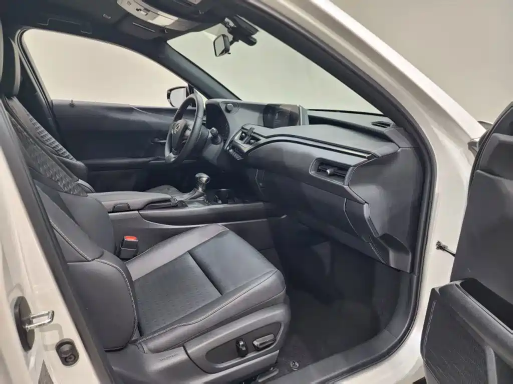 Lexus UX 260 h ·