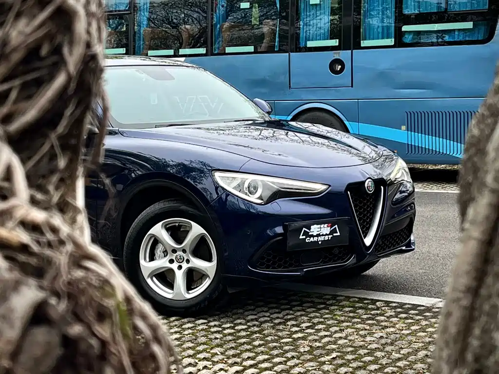 Stelvio 2.0 T 200 HP Luxury