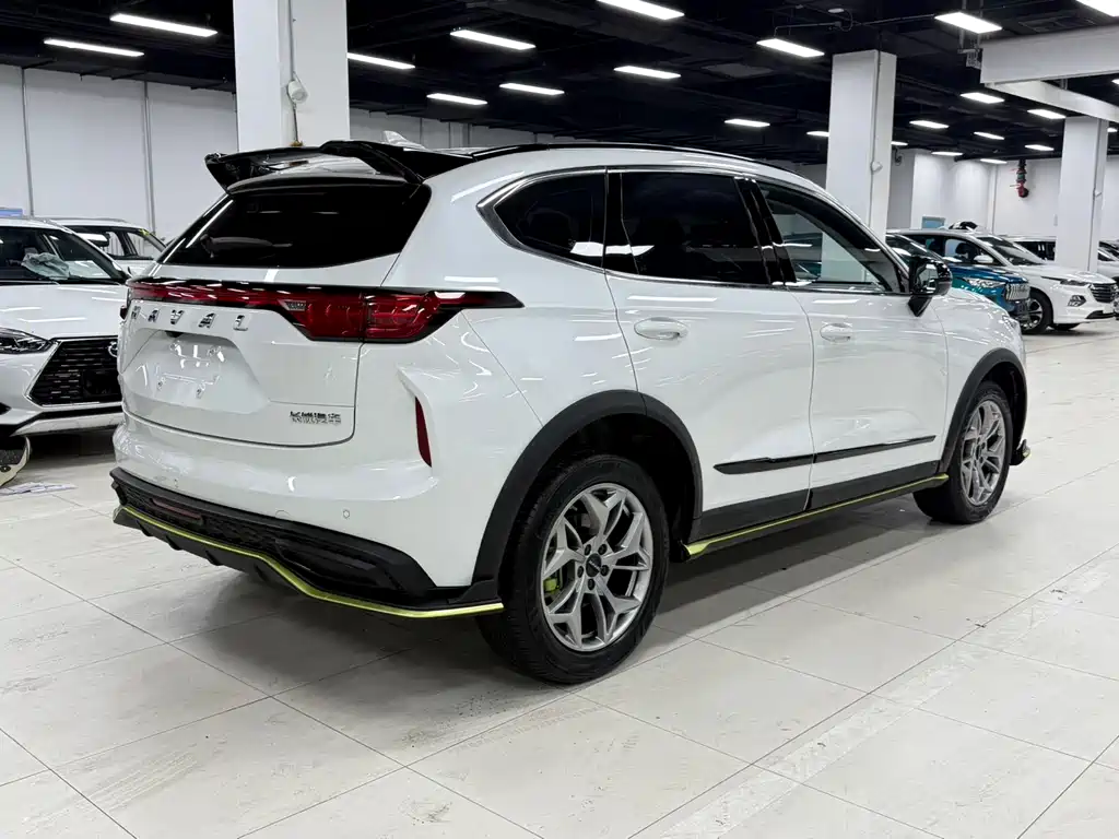 Haval Chitu Power Enjoyment 1.5 T Bronze Rabbit