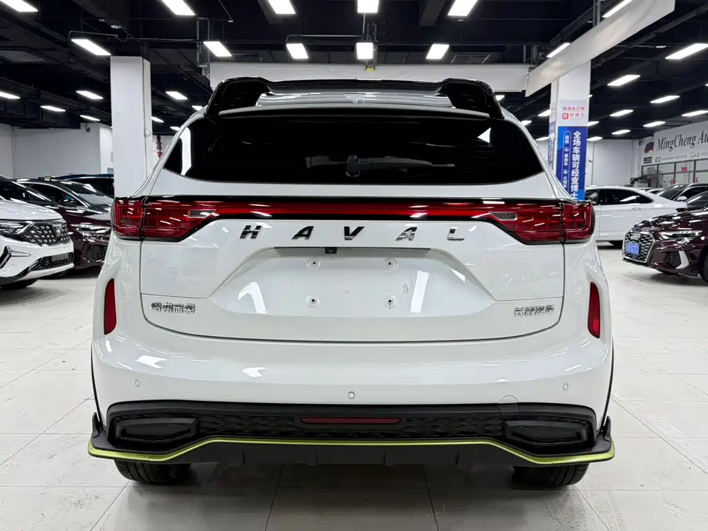 Haval Chitu Power Enjoyment 1.5 T Bronze Rabbit