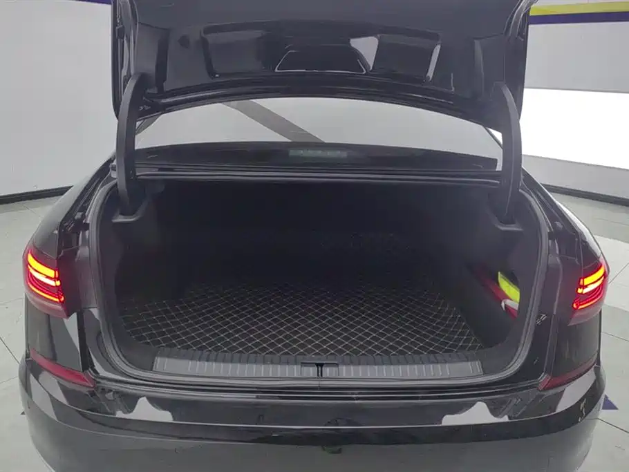 Passat Facelift 330 TSI Starry Sky Elite
