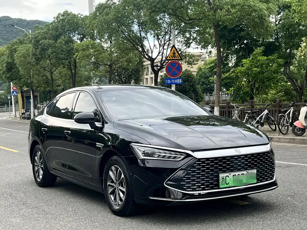 Qin PLUS Champion DM-i 55 KM Transcend