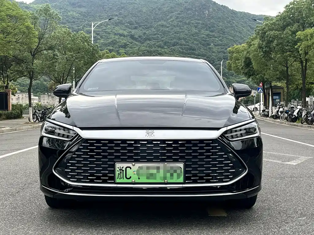 Qin PLUS Champion DM-i 55 KM Transcend