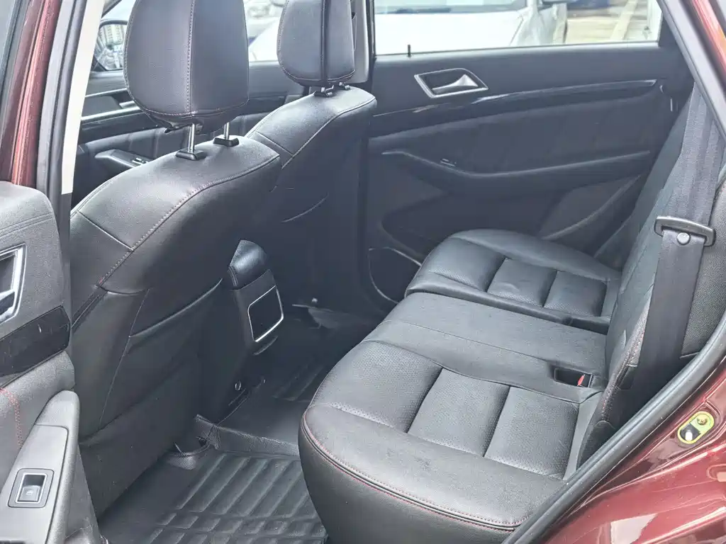 Leopaard CS10 2.0 T Auto Luxury