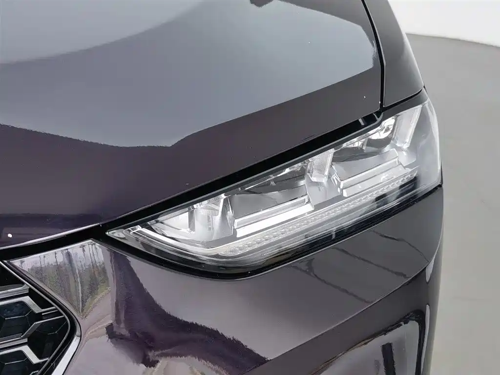 WEY VV7 2.0 T Super Luxury