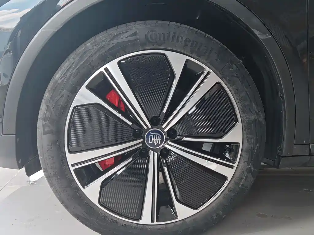Tang NEV DM-p 215 KM 4 WD Premium