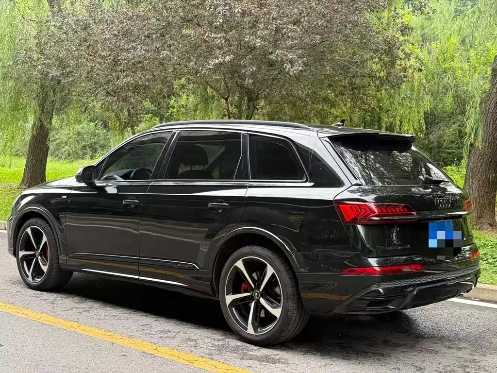 Audi Q7 55 TFSI quattro S line Ice Snow Sport