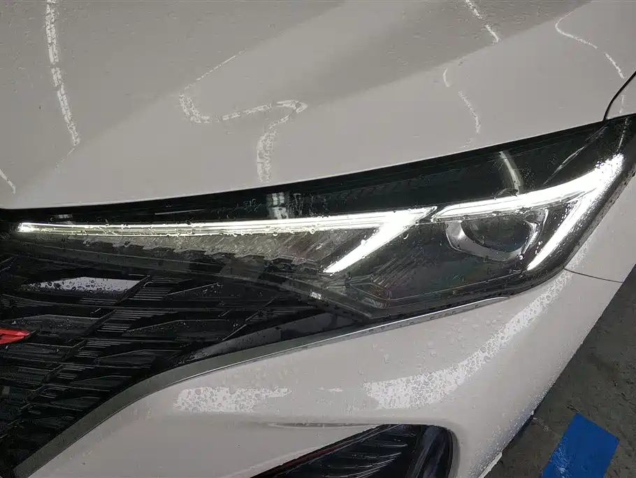 Eado PLUS Blue Whale NE 1.4 T GDI DCT Distinguished