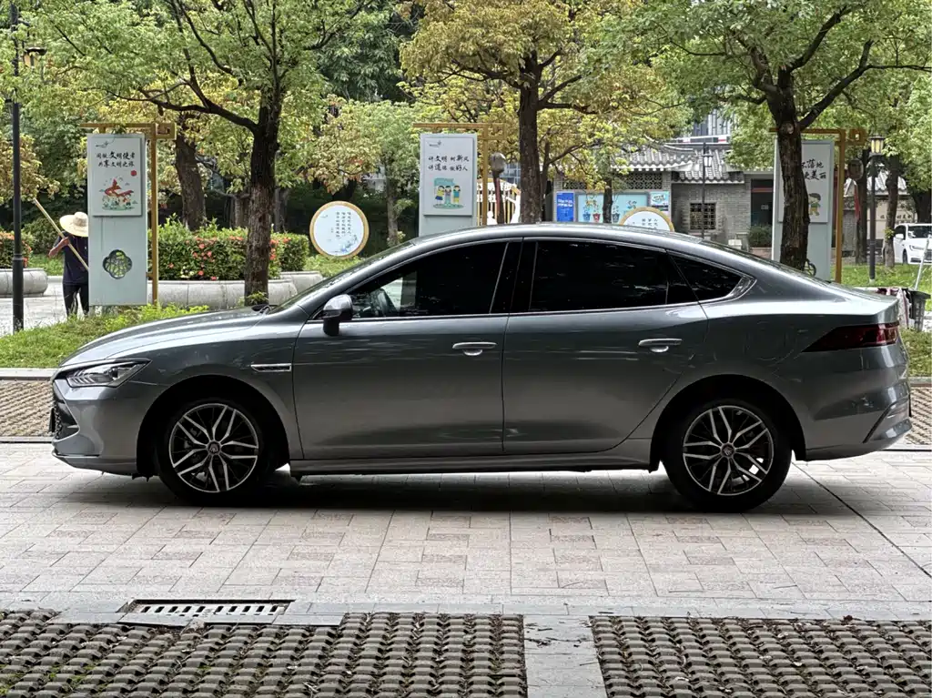 Qin PLUS DM-i 55 KM Flagship