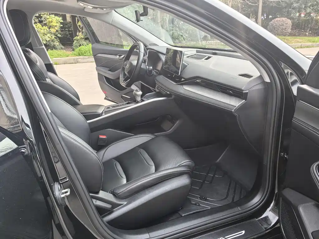 Xingrui 2.0 TD Luxury