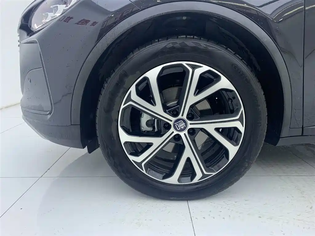 Tang NEV Smart Drive DM-i 115 KM Flagship