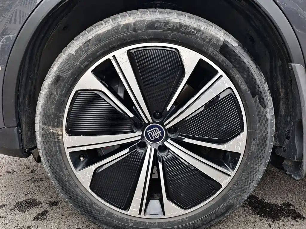 Tang NEV DM-p 215 KM 4 WD Flagship