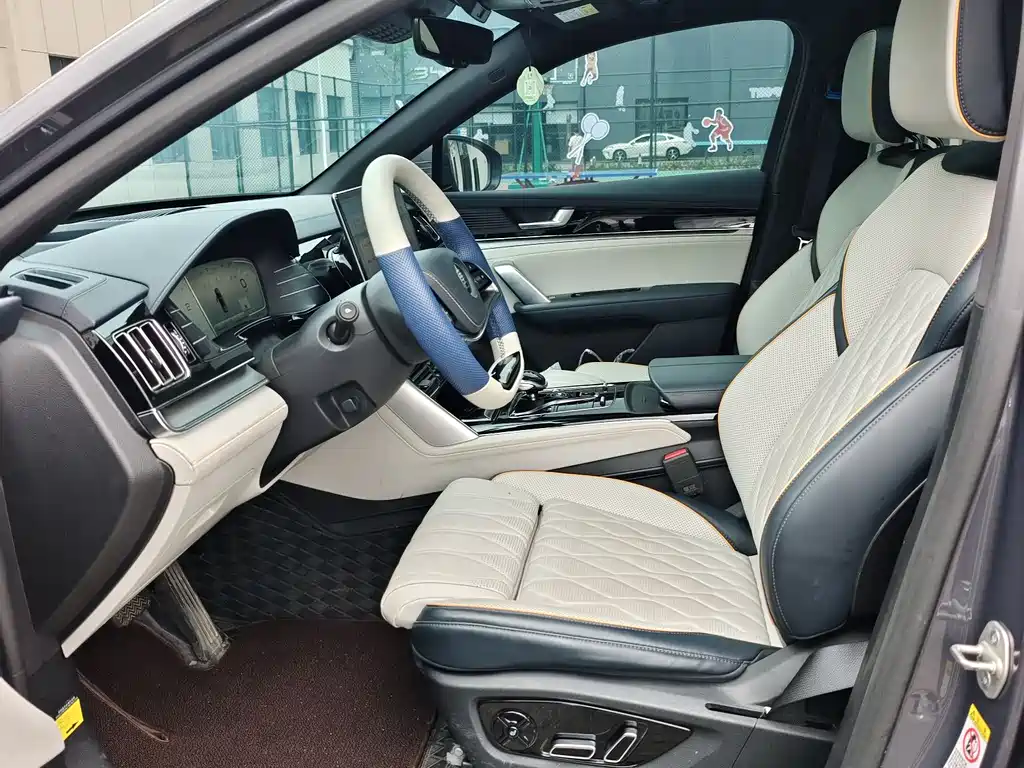 Tang NEV DM-p 215 KM 4 WD Flagship
