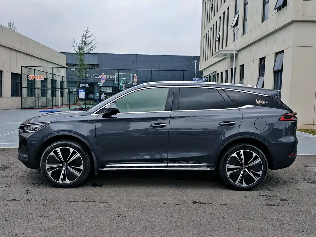 Tang NEV DM-p 215 KM 4 WD Flagship