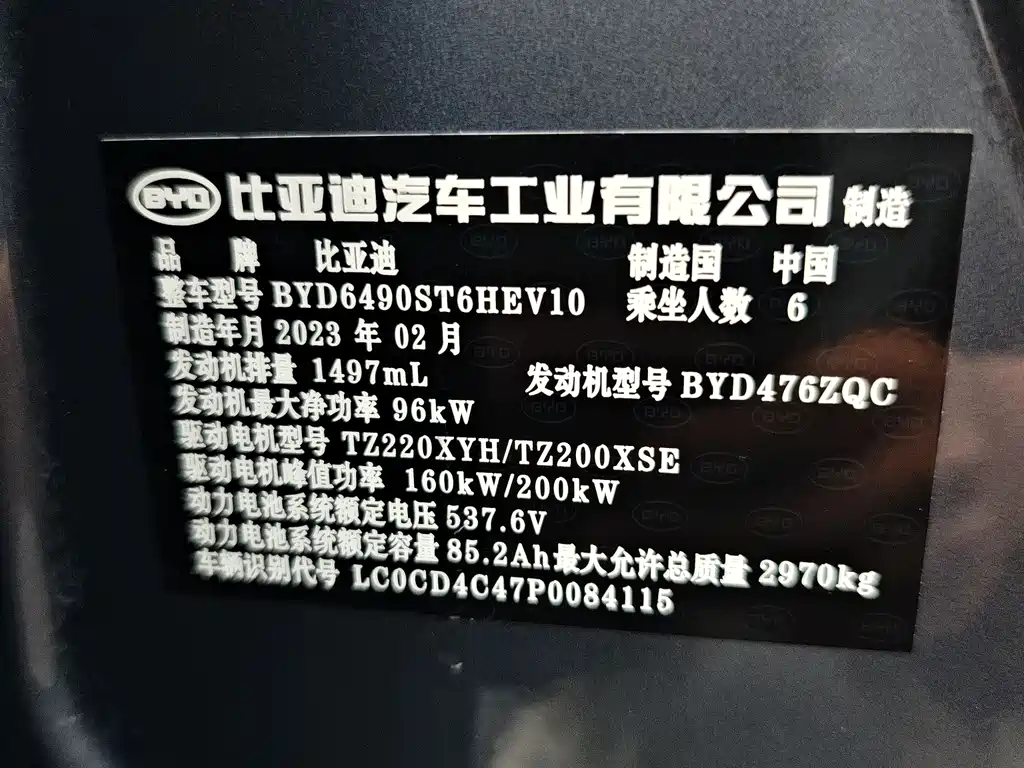 Tang NEV DM-p 215 KM 4 WD Flagship