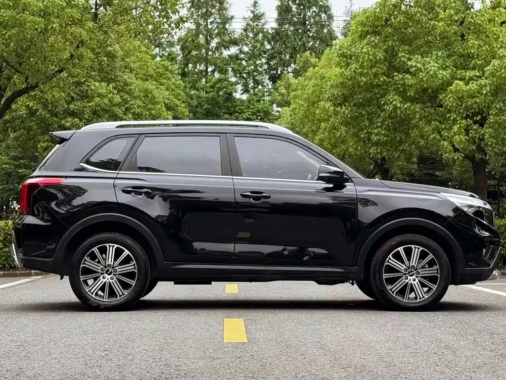 Sportage Ace 2.0 L Wonderful