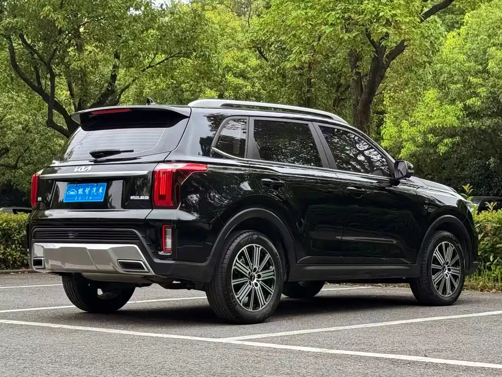 Sportage Ace 2.0 L Wonderful