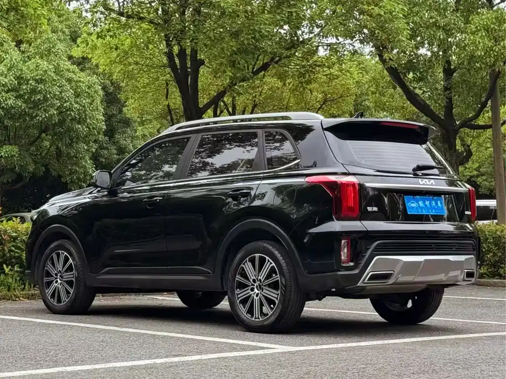 Sportage Ace 2.0 L Wonderful